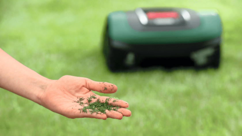 Mulch with robot lawn mower in background