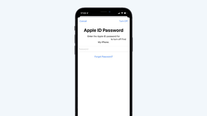 5. Enter your Apple ID password.