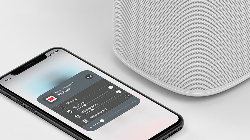 Sonos One SL Konnektivität