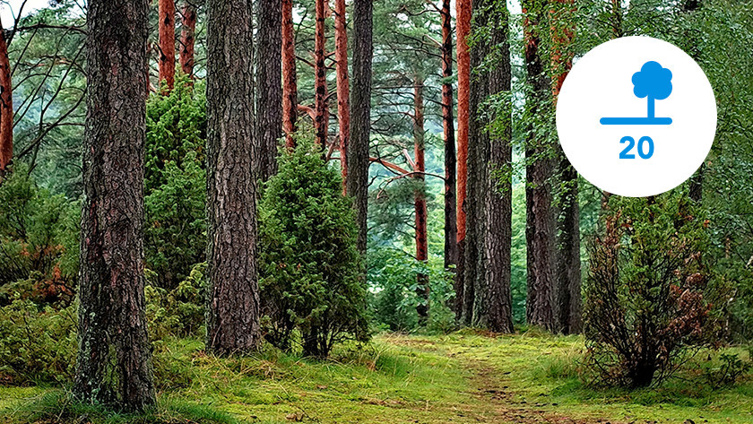 Tischmodell: Einsparung für die Umwelt