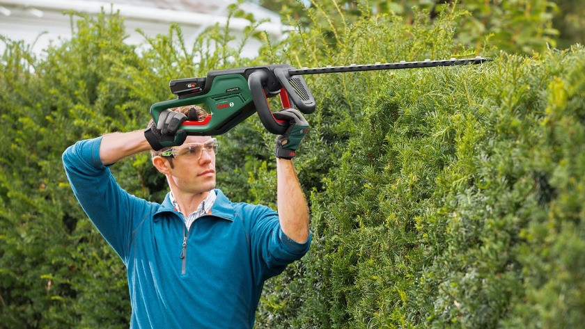 Hedge trimmers with medium-sized blade