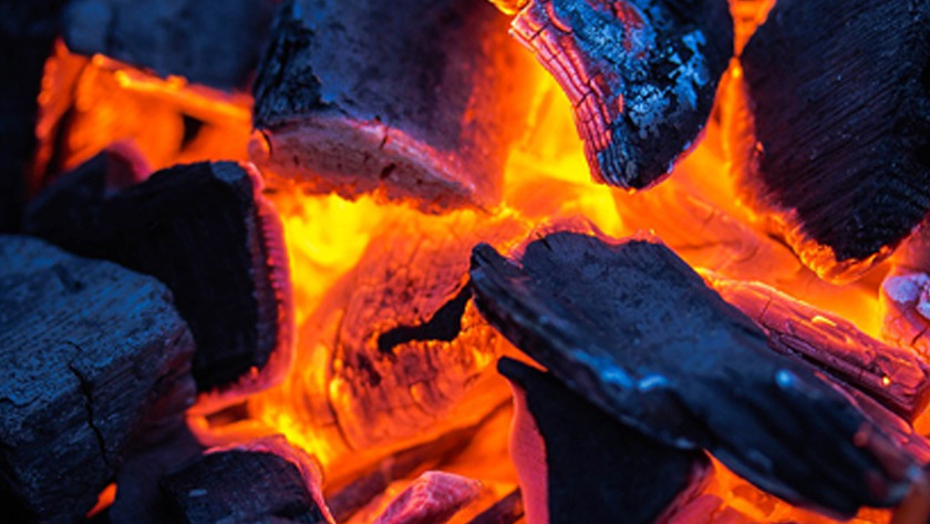 The benefits of charcoal