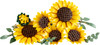 LEGO Botanicals Sonnenblumen 11502