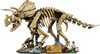 LEGO Jurassic World Dinosaurier-Fossilien: Triceratops 77985