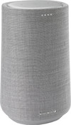 Harman Kardon Citation 100 Gray