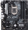 Asus Prime B365M-A