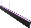Philips Hue Ensis Hanglamp White and Color Schwarz