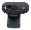 Logitech C505 HD Webcam