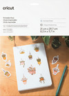 Cricut Bedruckbares Vinyl Silber A4 (10 Blatt)