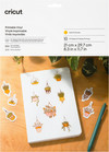 Cricut Bedruckbares Vinyl Gold A4 (10 Blatt)