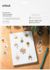 Cricut Bedruckbares Vinyl Transparent A4 (12 Blatt)