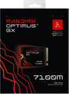 SANDISK Optimus GX 7100M 1TB NVMe-SSD