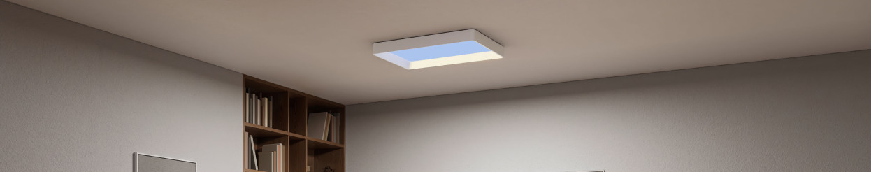 Philips Skylight