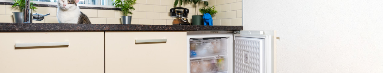 Welches Gefrierschrankmodell passt zu mir?