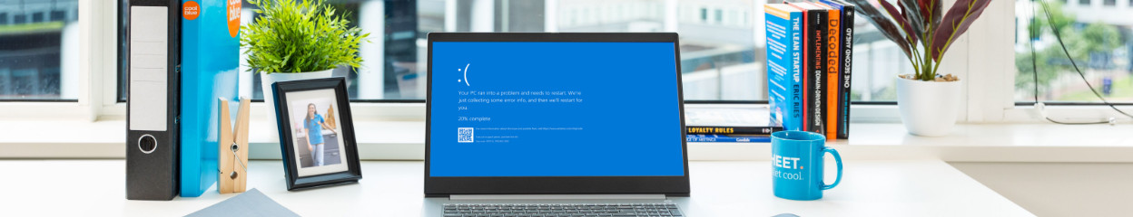 Wie behebt man einen Blue Screen of Death (BSoD)?