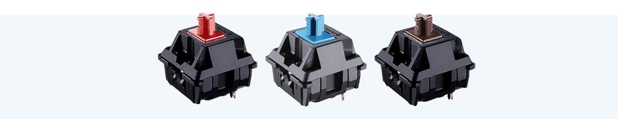 Welcher mechanische Switch passt zu dir?