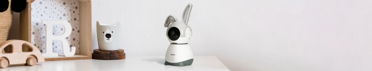How do you choose a baby monitor?
