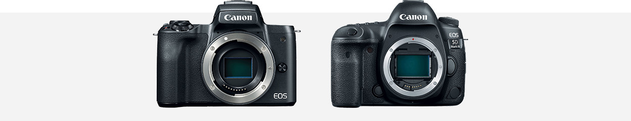 Wie reinigst du den Bildsensor deiner Kamera?