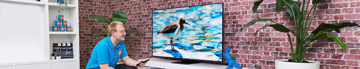 Expertenbewertung des TCL C843