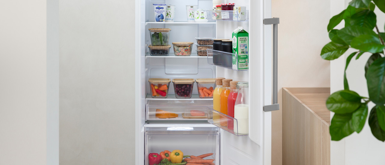 Single-door fridges