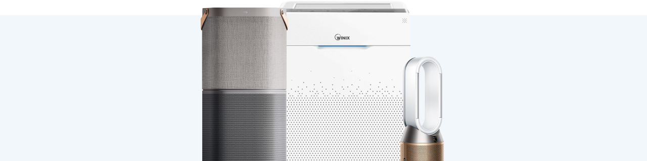 What does an air purifier help with?