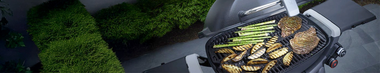 Welche Gerichte kann ich auf meinem Grill zubereiten?