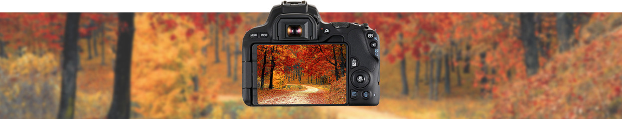Das beste Zubehör fürs Fotografieren im Herbst