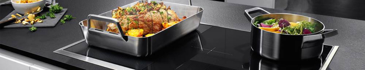 Welche verschiedenen Techniken gibt es bei AEG Kochfeldern?