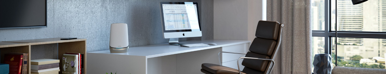 How do you assign a fixed IP address to your router?