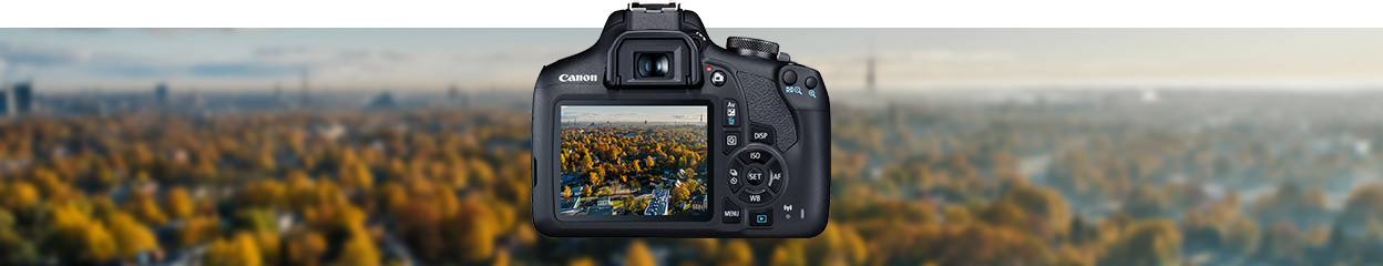 What's an SLR camera and why should you choose one?