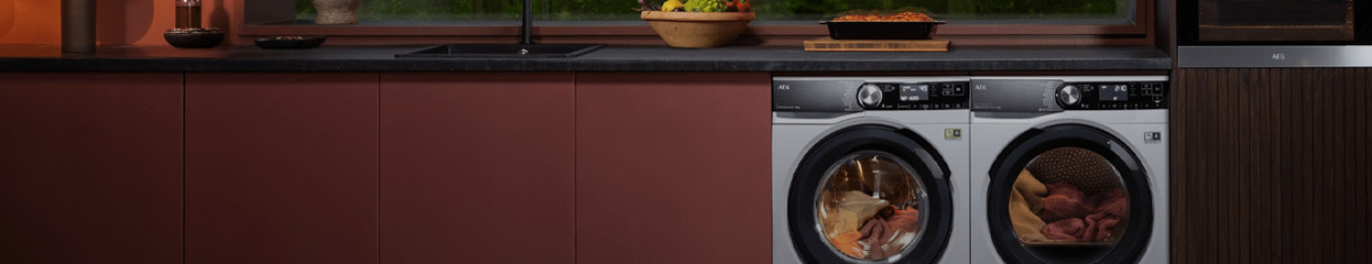 What's an AEG EcoLine washing machine?