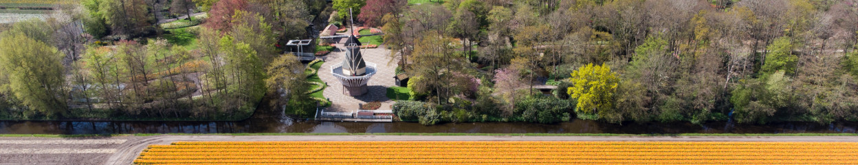 Tipps für die schönsten Bilder mit deiner Drohne