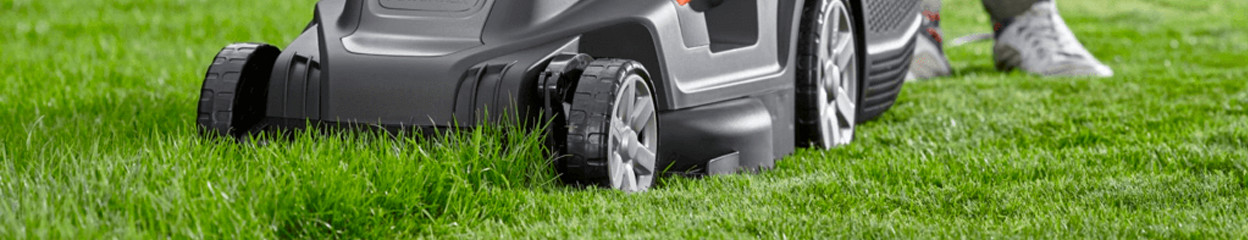 Beratung zum Mulchen