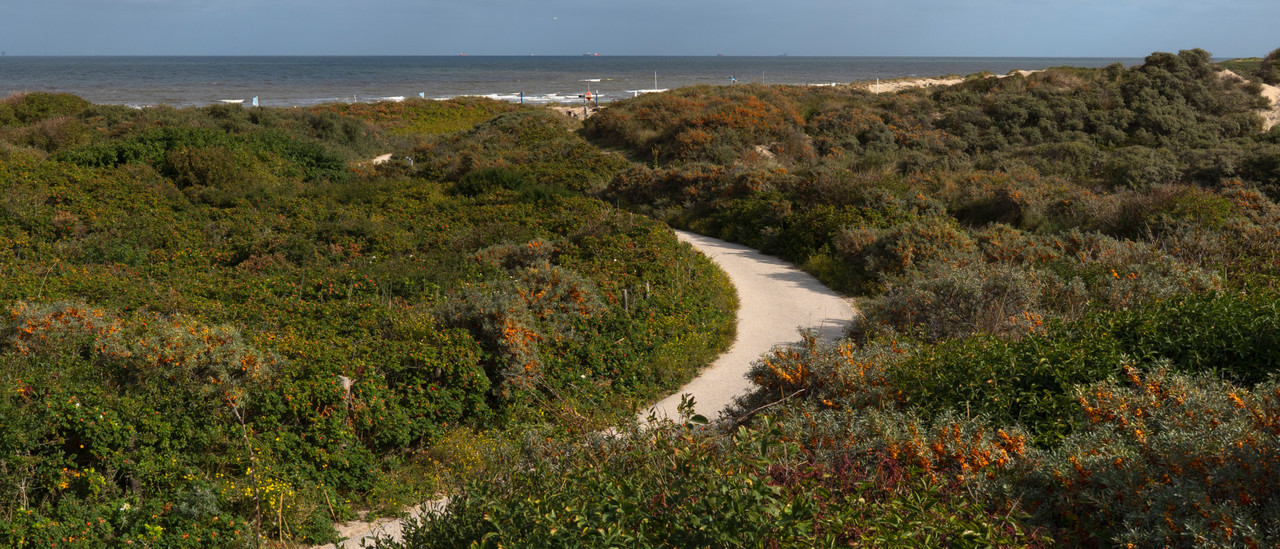 Landschaftsfotografie