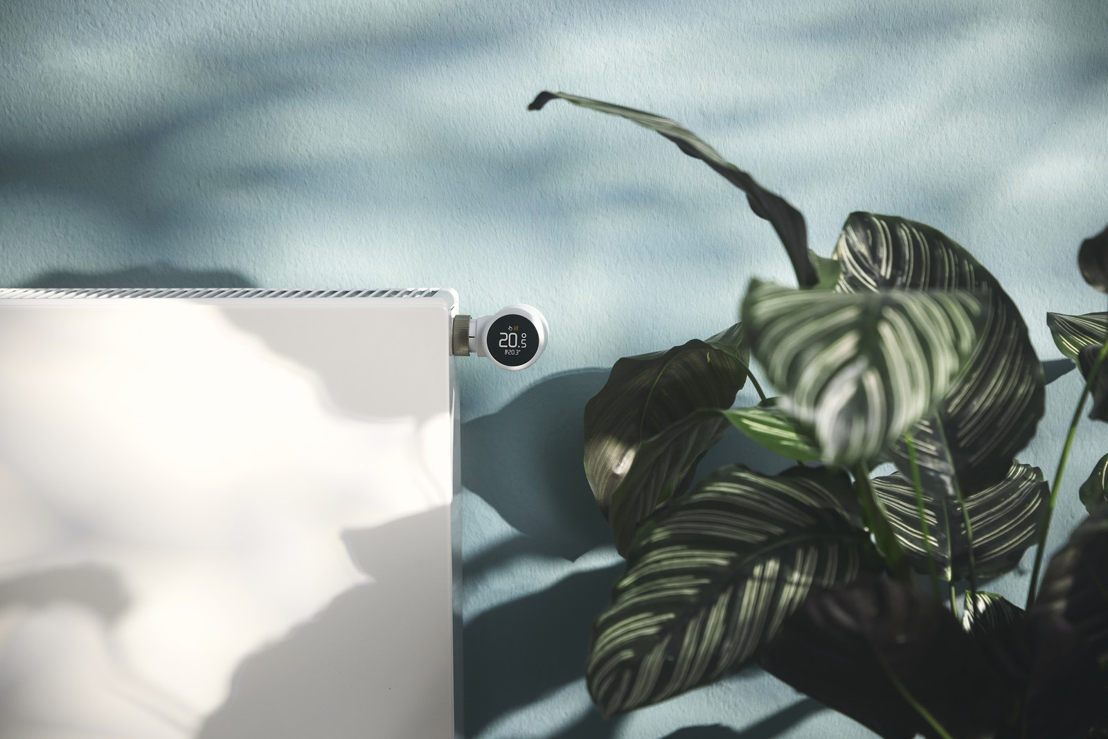 Besonders interessantes Angebot