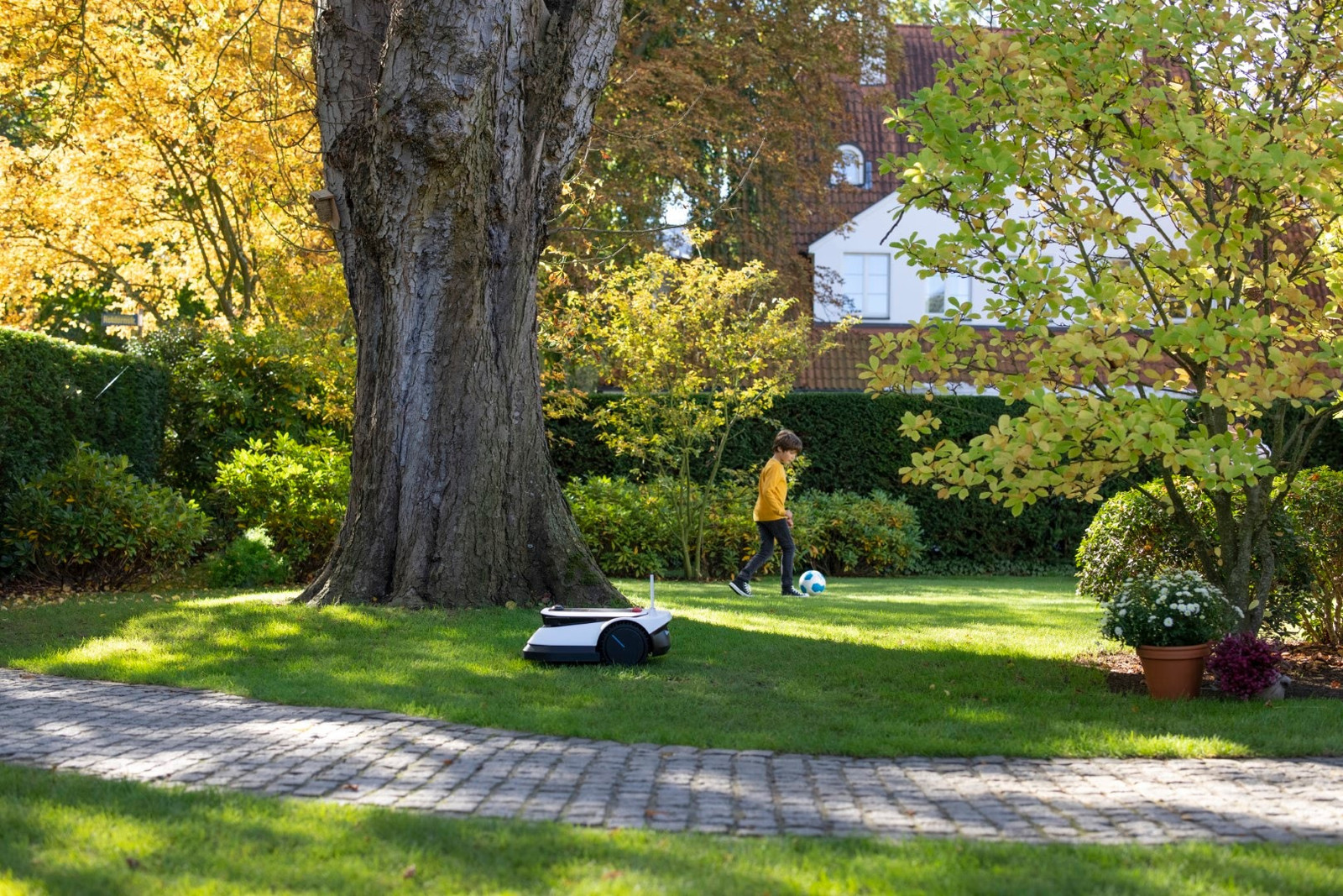 Mähroboter der Saison