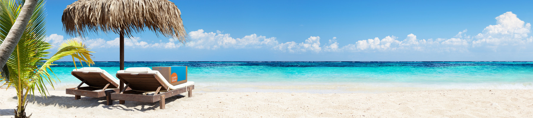 Package sunbathing on the beach.