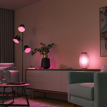 Philips Hue Flux Lightstrip 5 meter | White en Color Ambiance Philips