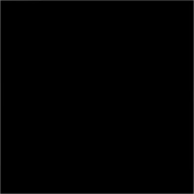 Bresser BR-9 Hintergrundtuch 3 x 4 m Schwarz ist nicht mehr verfügbar