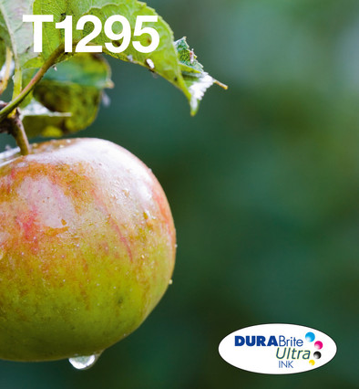 Epson T129 Cartridges Combo Pack is no longer available