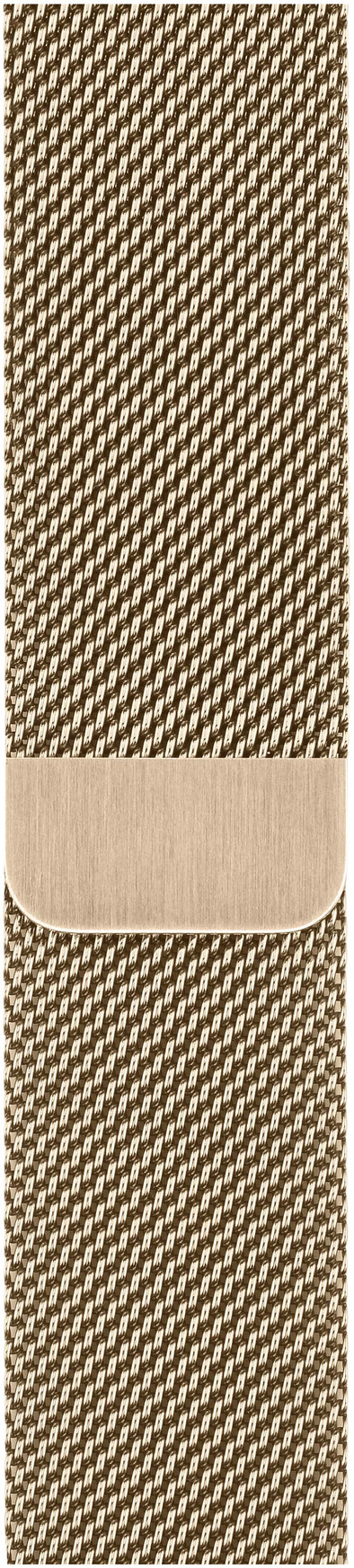 Apple Watch 38/40/41mm Watch Strap Milanese Gold is no longer available