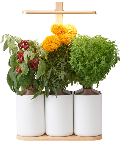 Pret a Pousser Indoor Garden Lilo Edition is no longer available