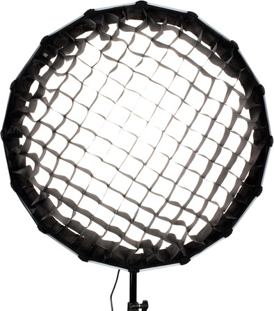 Nanlite Grid for Forza 60 is no longer available