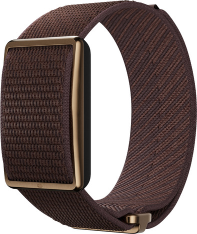 Polar Loop Brown is no longer available