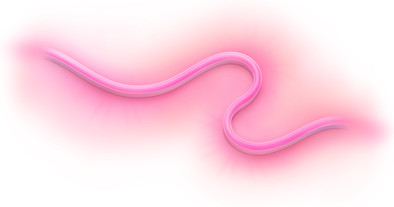 WiZ Lightstrip für den Außenbereich - Weiß- und Farblicht - 5 m ist nicht mehr verfügbar