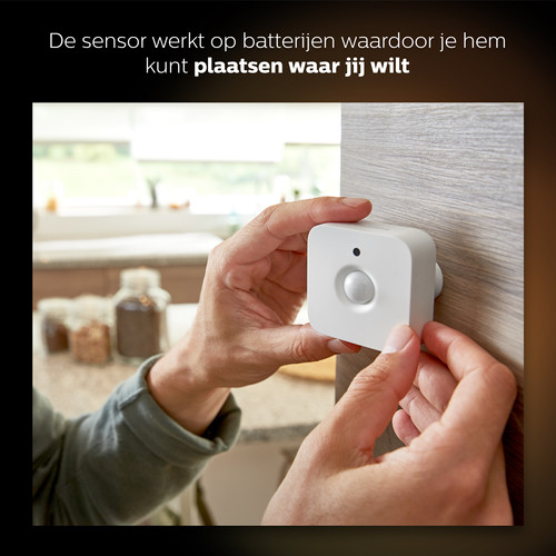 Philips Hue Bewegungssensor 