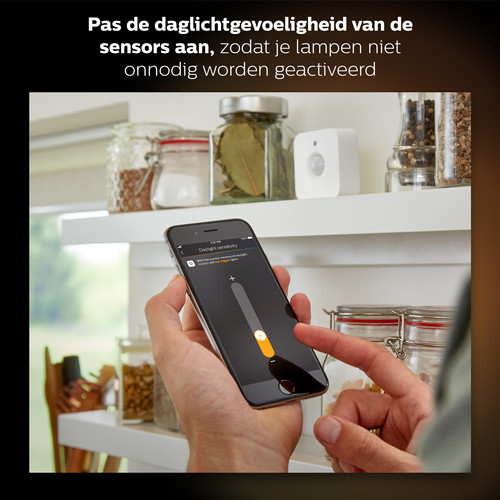 Philips Hue Bewegungssensor 