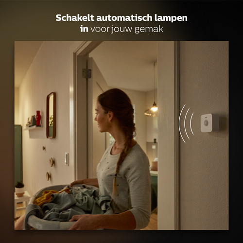 Philips Hue Bewegungssensor 