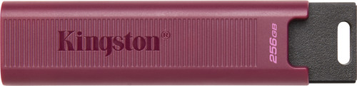 Kingston DataTraveler Max Typ A 256 GB Main Image