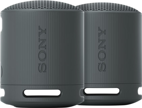 Sony SRS-XB100 Doppelpack Schwarz Main Image